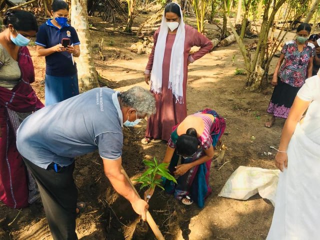 ‘Haritha Deyak’ National Home Gardening Program